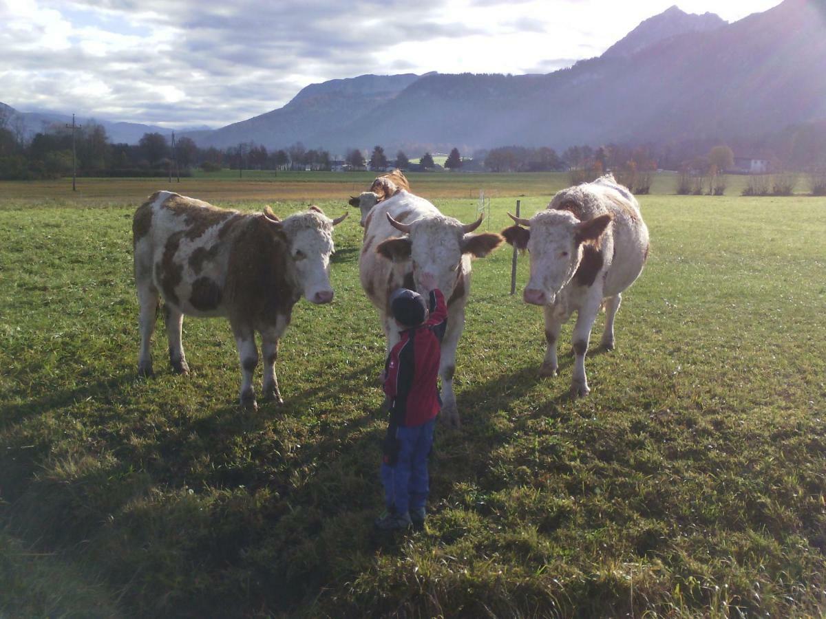 Fumerhof Strobl Zewnętrze zdjęcie