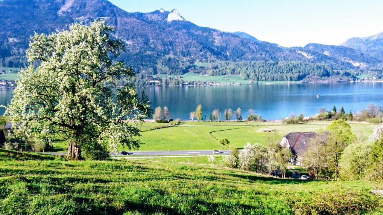 Fumerhof Strobl Zewnętrze zdjęcie