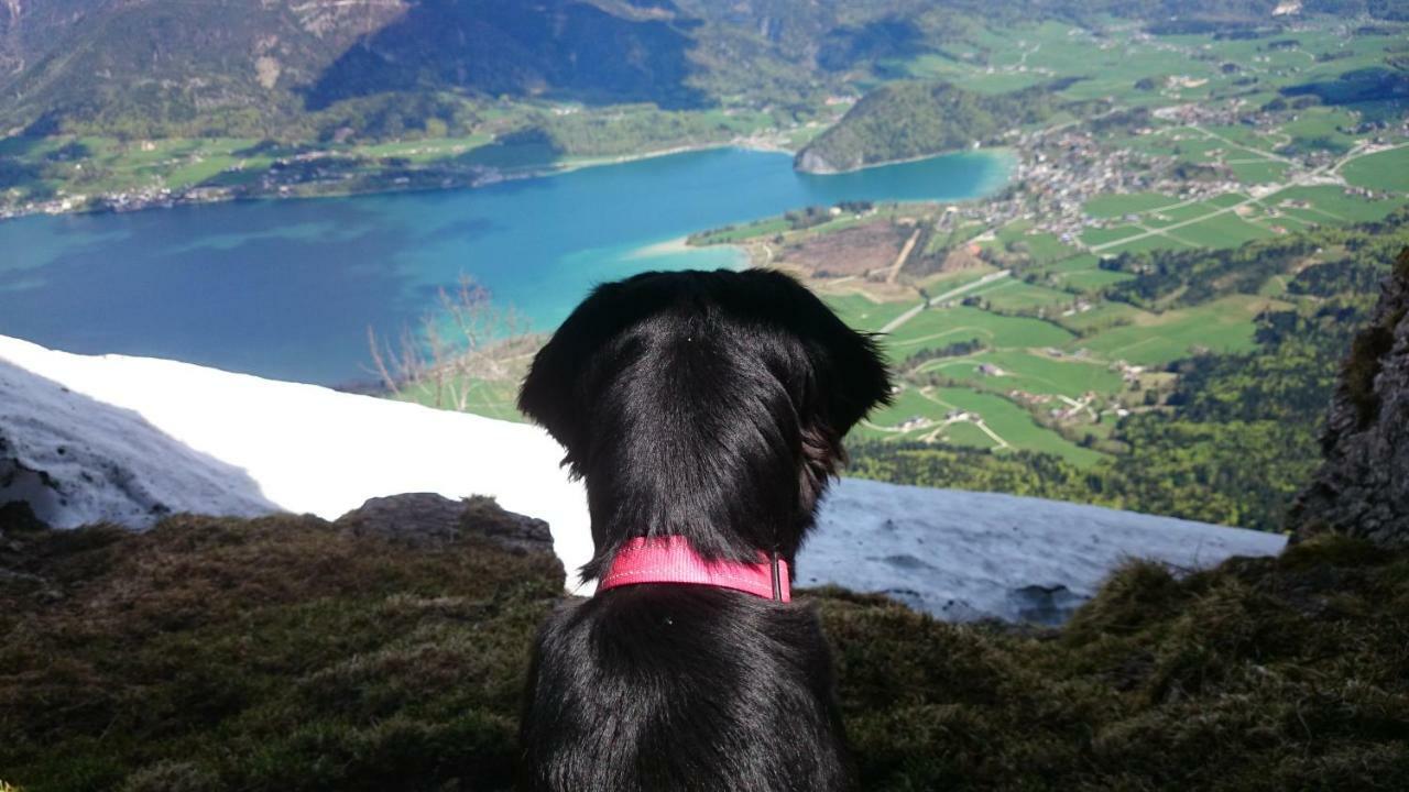 Fumerhof Strobl Zewnętrze zdjęcie